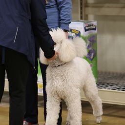 photograph by PeterW